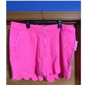 Crown and ivy Shelby scalloped shorts. Size 22W, new with tags.